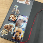 #PR #コスモメディアサービス #みんなのシール #ステッカー #オリジナルシール #オリジナルステッカー #シール #手作りシール #年賀状 #monipla #cms_fanみんなのシールさ&hellip;のInstagram画像