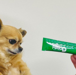 世界３４カ国特許取得成分『MRE成分』配合愛犬・愛猫用の健康サポートジュレMRE FOOD+ (エムアールイー フードプラス)見つけた瞬間近寄ってきたベルと鈴もーたべたいね😆このMR&hellip;のInstagram画像