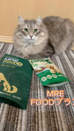 ♡ &bull;&bull;┈┈┈┈┈┈┈┈&bull;&bull; ♡毎日大好きが更新してる我が家のニャンズ🐈🐈&zwj;⬛ずっとずっと元気でそばにいてほしいってきっとどの家庭の主さんも思ってるよね✨.本来持ってる元気を引き出す&hellip;のInstagram画像