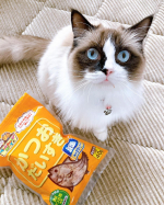 ．マルトモ株式会社 さんの⁡⁡無添加おやつ🐱『かつおだいすき』⁡⁡袋を開けると、鰹節のいい香り～カツオ原料の漁獲からかつお節にするまでの工程を一貫管理する事で、低塩分のかつお節を&hellip;のInstagram画像