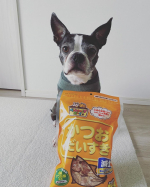 #PR #マルトモ株式会社 #かつおだいすき #わんわんにゃんにゃん #大切な家族のために #monipla #marutomo_fan大好きな『かつおだいすき』シリーズ。このカツオ節をご飯にか&hellip;のInstagram画像