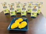 u0040marusanai_official さまの有機豆乳無調整を使ってスイートポテトをつくりました🍠🌟材料・さつまいも　中サイズ1本・マルサン　　有機無調整豆乳30ml・バター　　&hellip;のInstagram画像