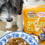 .*･ﾟ　.ﾟ･*..*･ﾟ　.ﾟ･*.かつおだいすきわんちゃん、ねこちゃんの食べれるかつおぶし！大きくてうすい、かつおぶしです。ふわふわしていて、お好み焼きやタコ焼きにのせたら、映えそう&hellip;のInstagram画像