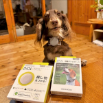 3月吉日@greenhouse_ebisu さんの紛失防止スマートタグ🏷️&ldquo;D!GL&rdquo;ディグルと🐶用のハーネスケースのモニターに当選して届きましたー😆🙌私に設定とかできるかなぁ?と不安だったけ&hellip;のInstagram画像