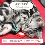 greenhouseさんの"DIGL"と首輪用ハーネスのモニターに当選したので使ってみましたー！普段、人間用の紛失防止タグに使っているAirTagと比較。DIGLは設定もAirTagと同じで、&hellip;のInstagram画像