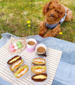 ☆ZENBブレッドをサンドイッチにしてお花見に出かけました😊🌸桜がまだそんなに咲いてなかった時なので下のたんぽぽと一緒に📷✨🥪たまごサンド🥪レタス、人参のドレッシング和え、茹でささみ、梅&hellip;のInstagram画像
