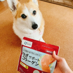 @qsai_official #キューサイ 様のひざサポートコラーゲン！！昨年末くらいから。この🐶のお世話をする時膝を曲げる事が多く。。膝の曲げ伸ばしに違和感があって悩んでたんです。。そんな時&hellip;のInstagram画像
