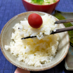 #PR #川辺食品株式会社 #紀乃家 #紀乃家_梅干専門 #カリカリ梅 #甲州小梅 #お弁当に梅干し #monipla #kinoya_fanのInstagram画像