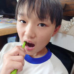 ▽モニター当選。＊＊歯ブラシ苦手な次女さん。磨き残し多々ありますが、これは使いやすくて磨き残しもさほどなく、いい感じです。＊＊#PR #株式会社クラデンジャパン #クラプロックス使ってみた&hellip;のInstagram画像