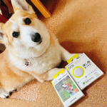 グリーンハウス様の紛失防止スマートタグ　DIGLのペット用🐶首輪に装着できるアクセサリー付きなのでいつもの首輪に着けれます♪iPhone📱と連動出来て位置情報がすぐわかる‼️家から脱走した時や&hellip;のInstagram画像
