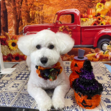 元気な女の子♬