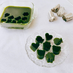 モニプラさんより　玉露園「濃いグリーンティー」をいただきました💕玉露園さんといえば、こんぶ茶🍵が有名ですが&hellip;玉露園さんのグリーンティーは発売から今年で94年になる長い歴史のある製品なんです👀&hellip;のInstagram画像