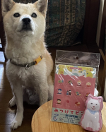 #PR#銀鳥産業株式会社#みつけてビンゴ#ビンゴゲーム#ビンゴカード#お出かけグッズ#monipla#gincho_fanのInstagram画像