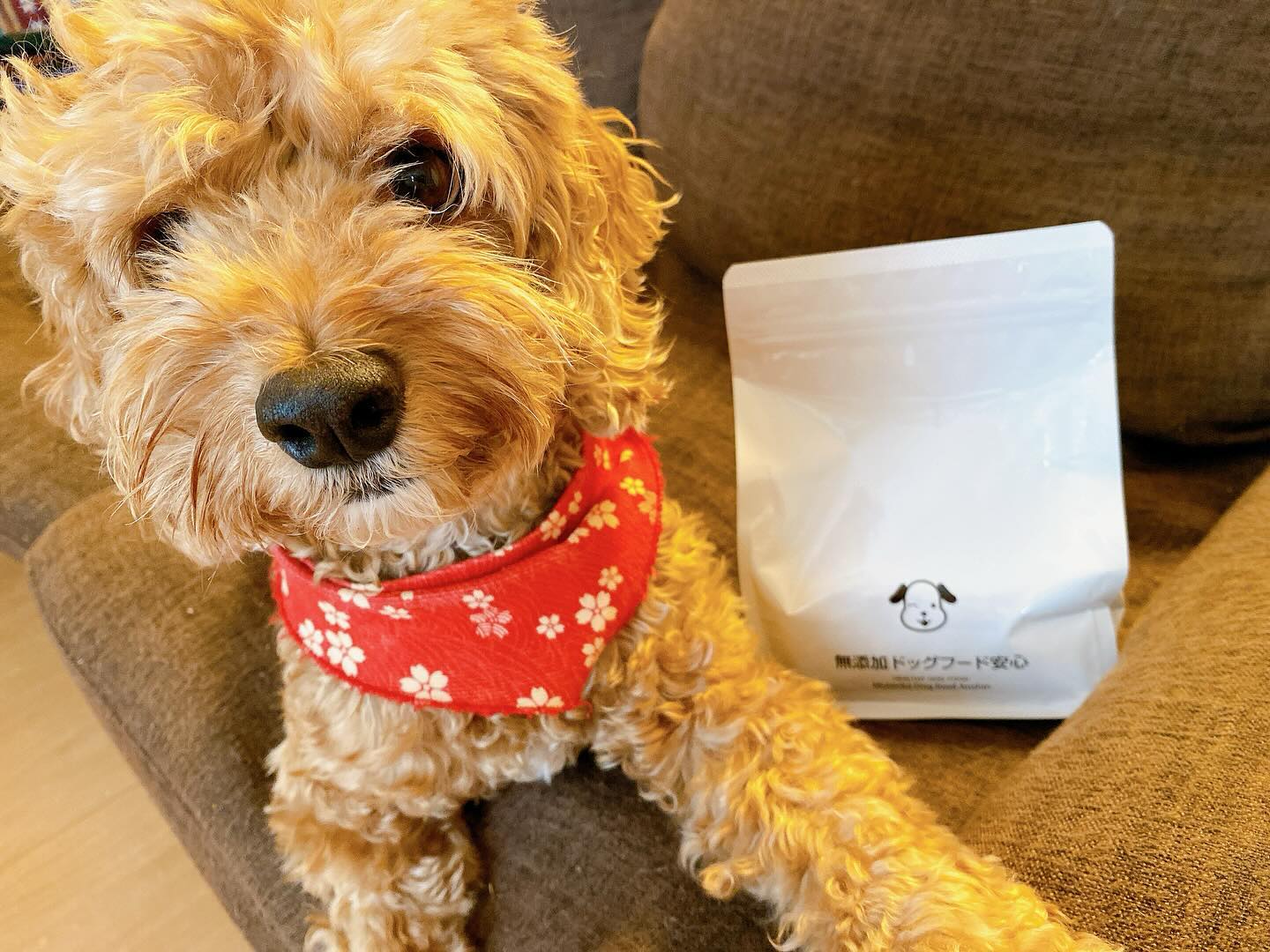 口コミ投稿：♡無添加ドッグフード安心♡人が食べられる食材でつくったドッグフード🐶❤️🌸標準成分🌸粗…