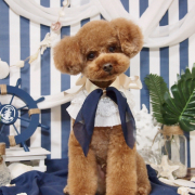 「マリンスタイル」【犬猫飼い主さま限定/画像投稿イベント】ねこちゃん・わんちゃんのかわいいお顔、みーせて♡販促物掲載のチャンス！の投稿画像