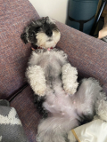 寝相が可愛らしいです