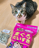 �マルトモ株式会社のだいすきシリーズのかつお節と、試作品の煮干しのおやつをお試ししました🐟かつお節や煮干しはご飯のトッピングとして食べることの多い我が家🐱今回も写真を撮っている時から興味津々のフ&hellip;のInstagram画像