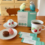 我が家のインコカフェ。コーヒーには『コラゲネイドスティック』を入れますよ！🐥🐥☕️😊. &nbsp;『コラゲネイドスティック』は、携帯に便利な顆粒タイプのコラーゲン。無味無臭で溶けやすいので、私は毎日コーヒー&hellip;のInstagram画像