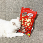  ︎︎ ︎︎猫ちゃんが飛びつく『 かつおだいすき 』を愛猫に与えてみました！ ︎︎我が家の猫ちゃんもかつお節が大好きなので開けた瞬間飛びついてきました！匂いだけでも早く食べさせて&hellip;のInstagram画像