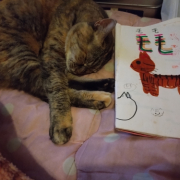 「ももです」【犬猫飼い主さま限定/画像投稿イベント】ねこちゃん・わんちゃんのかわいい寝顔、みーせて♡販促物掲載のチャンス！の投稿画像