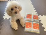 🐩🐶🐾@petokotofoods 『フレッシュペットフード』ポーク、ビーフ、フィッシュ、チキンの4種類！チキンが一番の好物だけど、4種類とも食いつきが良かった！お肉や野菜がたっぷりで&hellip;のInstagram画像