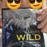 💊いつまでも自分は若くて快活だと思っているのですが、実際には若い頃のような気力はなかなか感じられません。お仕事も負担や責任が大きくなっているけど、全部にパーフェクトな対応をしていくのは気持ちがし&hellip;のInstagram画像
