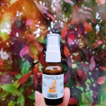 ARGITAL から プロテクト プロポリスオーラルスプレー が新登場👏💕 乾燥する季節の強い味方！めちゃくちゃおすすめのスプレータイプのプロポリスです🐝✨　　イガイガしたり乾燥が気になっ&hellip;のInstagram画像