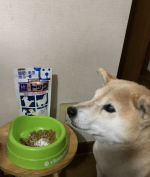 #PR #新田ゼラチン #健ドッグコラーゲンパウダー #犬用コラーゲンサプリメント #monipla #nittagelatin_fanのInstagram画像