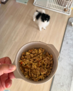 ご飯が合わないことが多くて嘔吐したり下痢したりだったけどペトコトフーズだったら大丈夫だったよ🐼#PR #PETOKOTO #ペトコトフーズ #petokotofoods #中身が見える本物のご&hellip;のInstagram画像