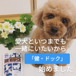 犬用コラーゲンサプリメント「健・ドッグコラーゲンパウダー」を使用しました☺️✨我が家の愛犬もシニア犬になってきたので、健康面が気がかりでした。特に散歩に行くと以前はぐいぐい行っていたのに、歩く速度&hellip;のInstagram画像