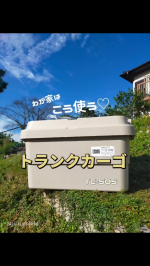 最近はこのトランクカーゴが多肉事のお供♡イスとして使ってます。鉢入れたり、肥料入れたり、迷子になるピンセット入れたり。作業がスムーズ👍特に気に入った点は、ロックのしやすさや持ちやすさ✨片手で&hellip;のInstagram画像