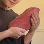 我が家に家族が増え・・・&nbsp;ではなく、これは&nbsp;サツマイモです🍠&nbsp;なんと100円！&nbsp;3Kgくらいあるかな？&nbsp;初挑戦のいもけんぴは2/3作って&nbsp;娘の提供したと&hellip;のInstagram画像