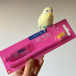 「クラプロックスビーユー」で、歯磨きするぞ！🐥🐥🪥😬.とってもカラフルで可愛いフルーツフレーバー歯みがきと歯ブラシCS5460のセットです。.色んなカラーバリエーションがありますが、私はピンク&hellip;のInstagram画像