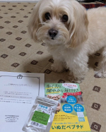 いぬだペプチド（ペットサプリ）は、9種の成分がバランスよく配合され、元気な生活、免疫力向上、関節の健康維持をトータルサポートするペットサプリメントです。ウチの愛犬は１３才と高齢犬なのでお試しさせて&hellip;のInstagram画像