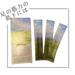ドモホルンリンクルの化粧品で誰もが知っている再春館製薬所さんの新商品\歩みのゼリー/再春館製薬所は、漢方に学んだ医薬品「痛散湯」という、体の痛みをとるお薬から始まった、漢方の製薬会社です&hellip;のInstagram画像