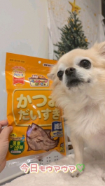 毎日手作りのワンごはんを食べてもらってます。かつおで出汁をとったり、具材にしたり、おやつにしたり。無くてはならない存在です♡#PR #マルトモ株式会社 #かつおだいすき #だいすきシリーズ #&hellip;のInstagram画像