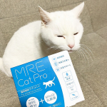 ︎︎ ︎︎猫ちゃんの為のサプリメント『 MRE Cat Pro 』をお家の猫ちゃんに与えてみました。愛猫も高齢の猫ちゃんなので健康や食欲が気になり始めお試ししてみたいと思っていたところで&hellip;のInstagram画像