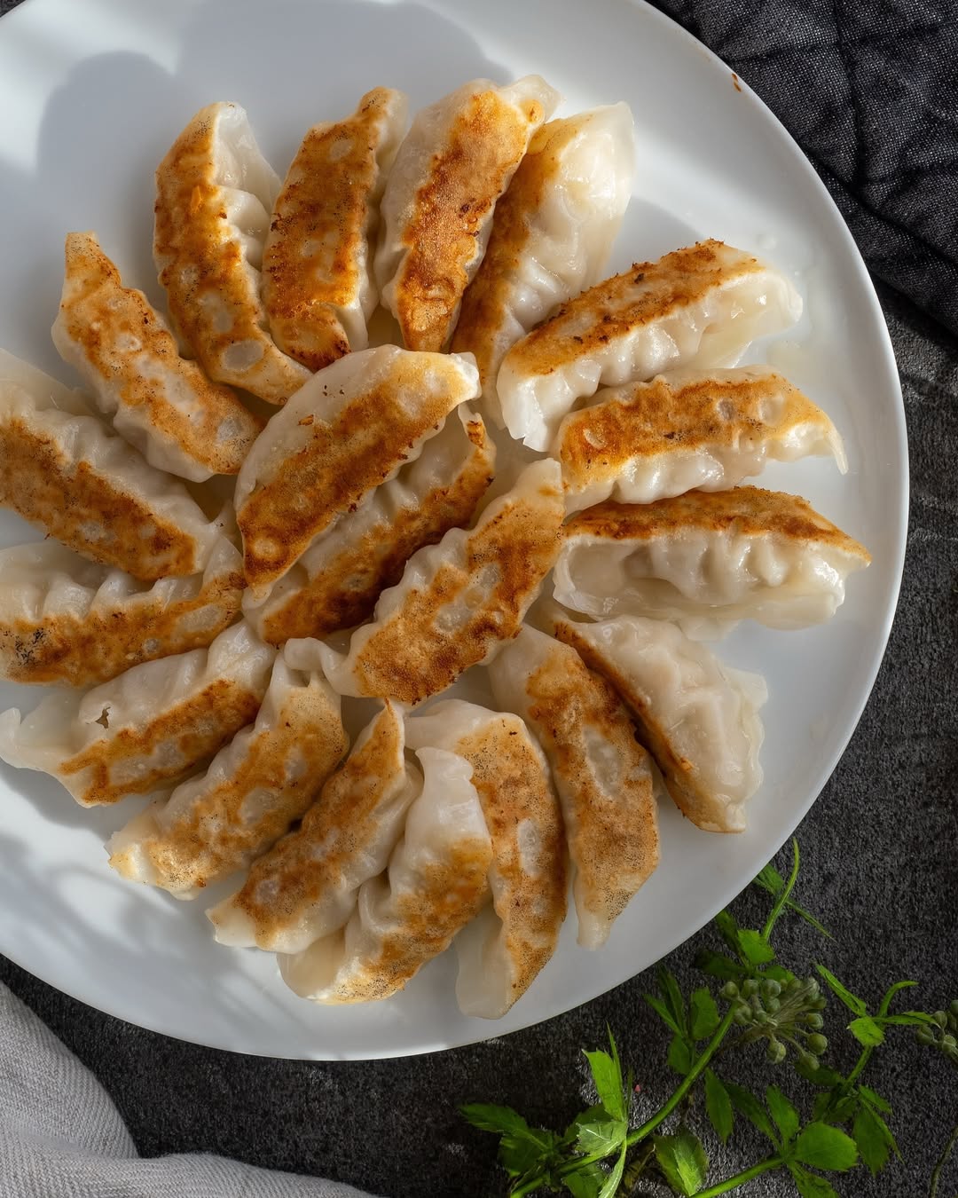 口コミ投稿：餃子だけを心ゆくまで食べたいと思ったことはありませんか…🥟私は餃子とビールでお腹…