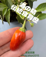 🔥食育を大切に🔥大ファン海の精様の＼伝統食育歴／カレンダー@uminosei_1979@uminoseishopもっと食育を‼️本当にこの思いがめちゃくちゃ強い私。。。二十節気に合わせ&hellip;のInstagram画像