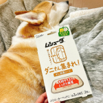 ミルクが居るからダニも気になる。。いつも一緒に寝てる布団にセット！殺虫成分不使用の大判捕護シート●ダニが気になる場所に置くだけで、簡単ダニ対策！●殺虫成分不使用。食品成分でダニを誘引します。&hellip;のInstagram画像