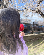 食べきれないだろうから姫りんご（小さい方）を進めたら、大きいからいいんじゃん。って言われた😆確かに大きいりんご飴を持ってる子どもってかわいい😍やっぱり半分くらい残してたけど笑ちなみに、背景を&hellip;のInstagram画像