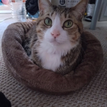 野菜だいすき🍅🌽🥒🍆🍅🌽🥒🍆🍅🌽🥒🍆🍅🌽🥒🍆#PR #野菜をMOTTO #野菜スープ #カップスープ #クリスマスギフト #monipla #monmarche_fanのInstagram画像