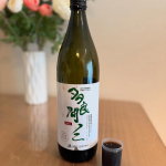 時差投稿になってしまいましたが、、、、、ノニジュース飲み始めて10日目！（4月1日）📅 3月21日・夜 に 30ml スタート！ぐっと一気に飲んで、水で流し込むスタイル。&ldquo;良薬口に苦し&rdquo; &hellip;のInstagram画像