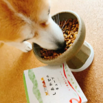 ミルクちゃん、最近いつものフード食べてくれない。。。そんな時に！しあわせのキューブ！冷凍で1キューブ15gミルクちゃんのフードのトッピングにピッタリの量。早速昨夜から冷蔵庫で解凍しておいて今&hellip;のInstagram画像