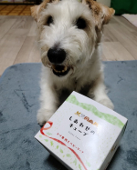 かわいいネーミング『しあわせのキューブ』国産無添加の野菜（人参、ベビーリーフ、舞茸、クコの実）と、エゾ鹿肉入りのキューブ。レンチンで香りもグー。お魚と野菜メインのぺー飯ですが、鹿さんのお肉入りの味変で&hellip;のInstagram画像