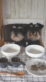 いつものフードにうまうまトッピングちていただきまちた💕#PR #寺岡家 #てらおかけの愛犬ごはん #しあわせのキューブ #Makuakeチャレンジ #わんこごはん #フレッシュペットフード #&hellip;のInstagram画像