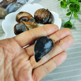 口コミ：安心健康ライフ【熟成黒にんにく 黒青森】一日一片。手軽でおいしい健康習慣の画像（2枚目）