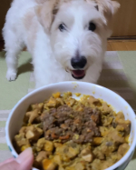 Happy dinner time🎶完全無添加&bull;保存料不使用のフレッシュフードしあわせのキューブだよ。やっぱエゾシカ肉の所をガブッといくねー😁脂質が少ないってのが今のぺーにはぴったりご褒美。15gの&hellip;のInstagram画像