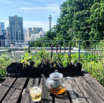 先日の屋上。ガーデニングをしていました😊．久しぶりの屋上、春野菜から夏野菜の植え替えが遅れていて少しドキドキしています。早めに植えたミニトマトやパプリカが元気に育ってくれています。．飲み&hellip;のInstagram画像