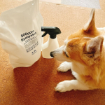 ペットの気になるニオイも強力消臭次亜塩素酸水「バイバイ菌原液や薄めて用途色々使える‼️原液で生ゴミやトイレに🚽薄めてミルクちゃん🐶用品に！スプレーボトルに詰め替えて愛用中😊#PR #エク&hellip;のInstagram画像